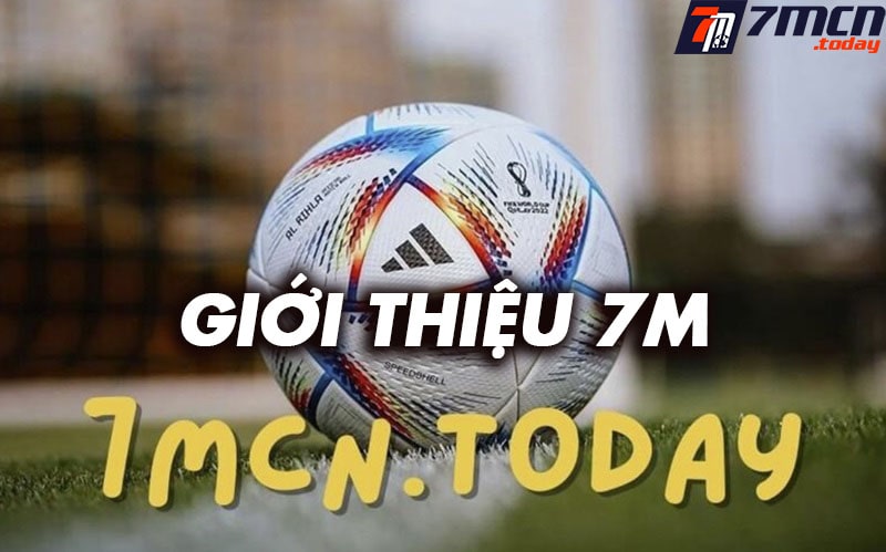 Giới thiệu shofarnews.com